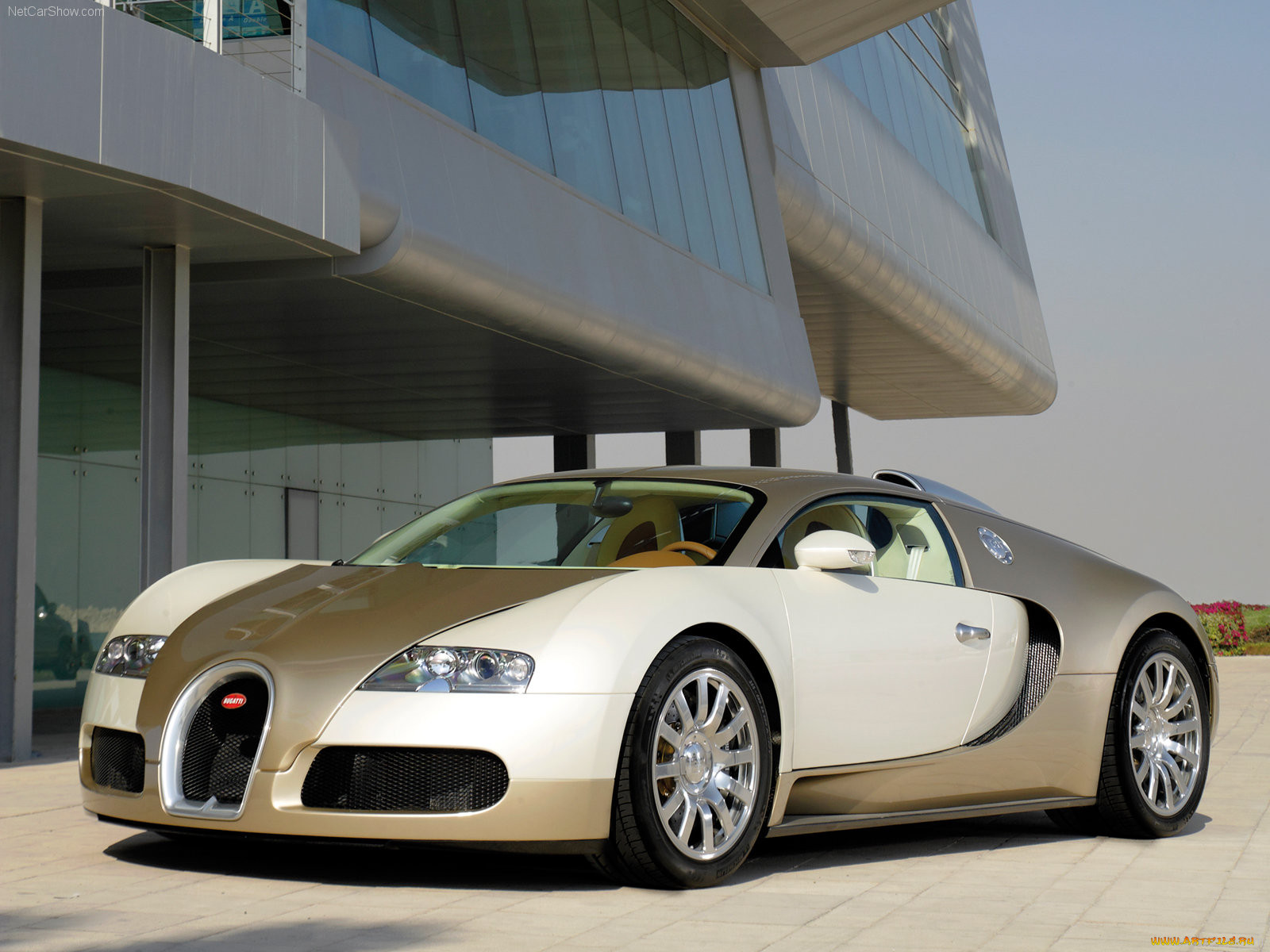 bugatti, veyron, 2009, 